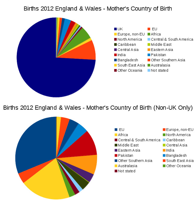 Graph: Country of origin of non-UK-born mothers